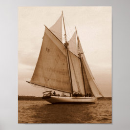 Sju segel i Salish Sea Poster