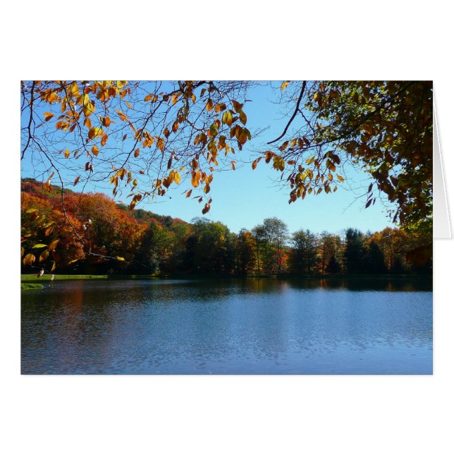 Sju Vår Fall Träd och Pond Hälsningskort (Framsidan Horizontal)