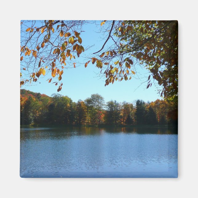 Sju Vår Fall Träd och Pond Magnet (Framsidan)