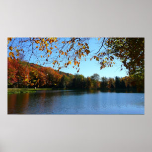 Sju Vår Fall Träd och Pond Poster