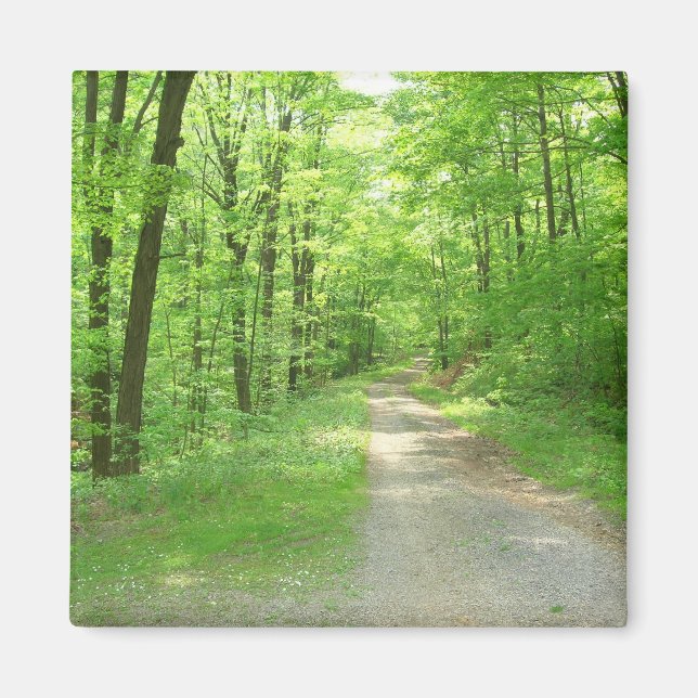 Sju Vår-magnet Magnet (Framsidan)