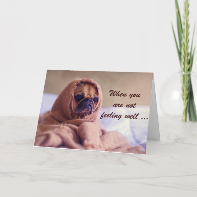 Sjuk Pug Hund, Sympati, Humor. Kort (Framsida)