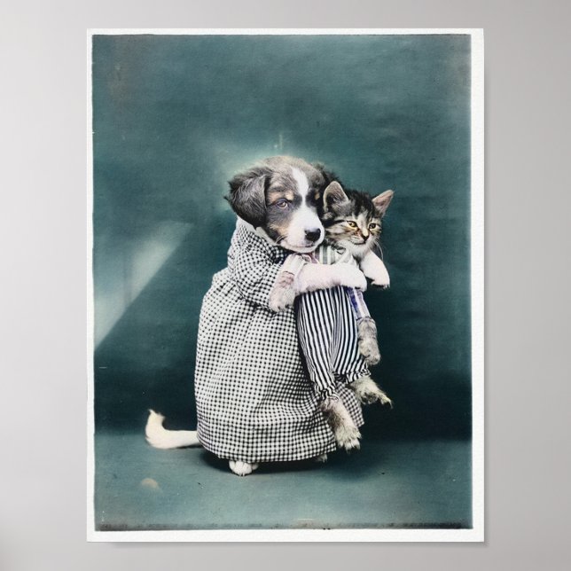 Sjukhundsuppehållaren för Kitten 1914, färgad Poster (Framsidan)