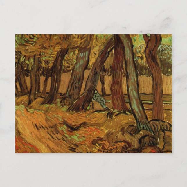 Sjukhuset i Saint-Paul av Vincent van Gogh Vykort (Framsida)