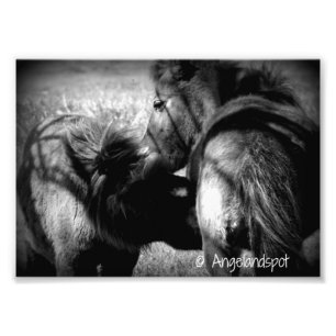 Sjuksköterska Fototryck