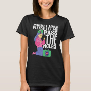 Sjuksköterska Jag ber om ursäkt för att jag passer T Shirt