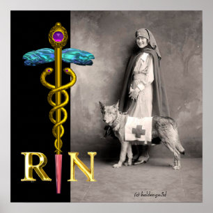 SJUKSKÖTERSKA OCH RÄDDNINGSHUND /Gold Caduceus RN Poster