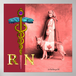 SJUKSKÖTERSKA OCH RÄDDNINGSHUND /Guld Caduceus RN Poster