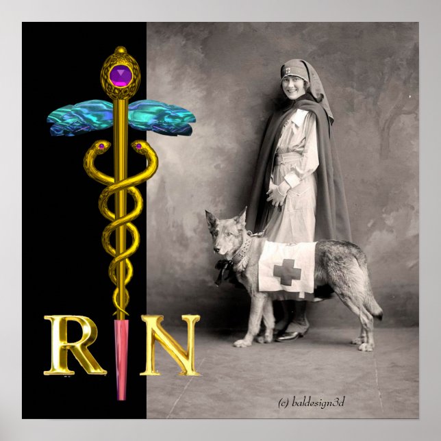 SJUKSKÖTERSKA OCH RÄDDNINGSHUND /Guld Caduceus RN  Poster (Framsidan)