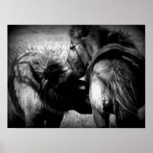 Sjuksköterska Poster