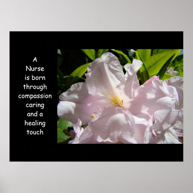 Sjuksköterskan är född konst Compassion Caring Hea Poster (Framsidan)