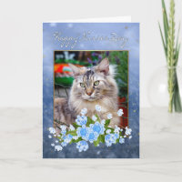 Sjuksköterskans dagskort, maine Coon Cat, Kat Nurs