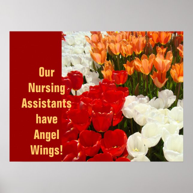 Sjuksköterskeassistenter har händelsen Angel Vinga Poster (Framsidan)