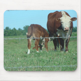 Sjukvårdkalv Musmatta