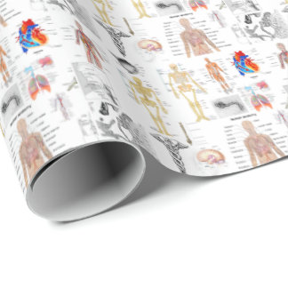 Sjukvårdsdiagram fullt färg presentpapper