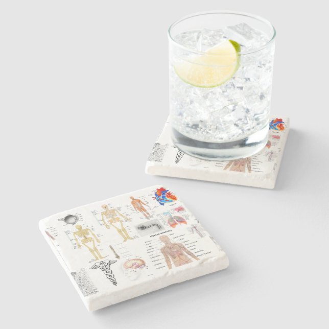 Sjukvårdsdiagram fullt färg stenunderlägg (Sidan)