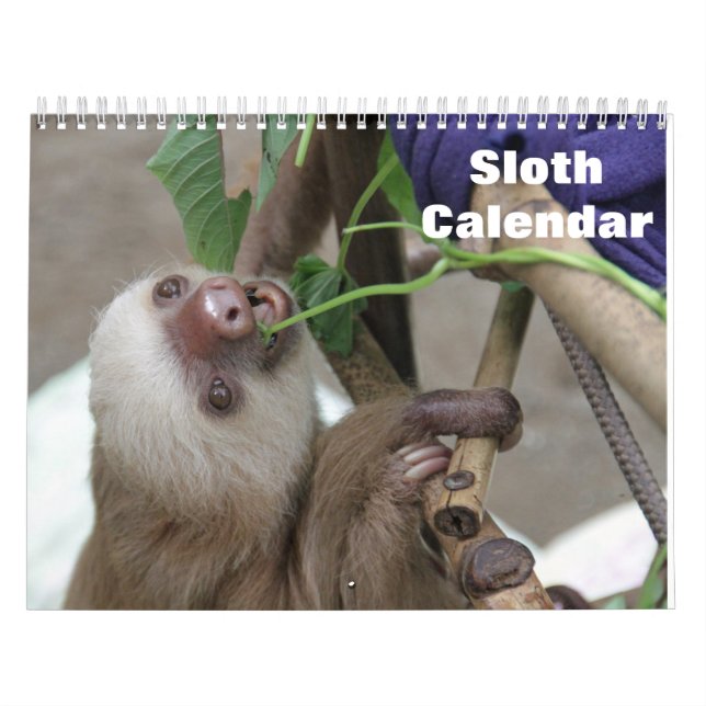 Sjunde 2025 kalender (Omslag)