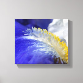 Sjung i Blues! Canvastryck