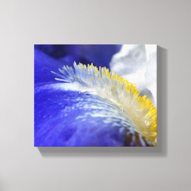 Sjung i Blues! Canvastryck (Framsida)