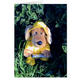 Sjung i regnet OBS kort