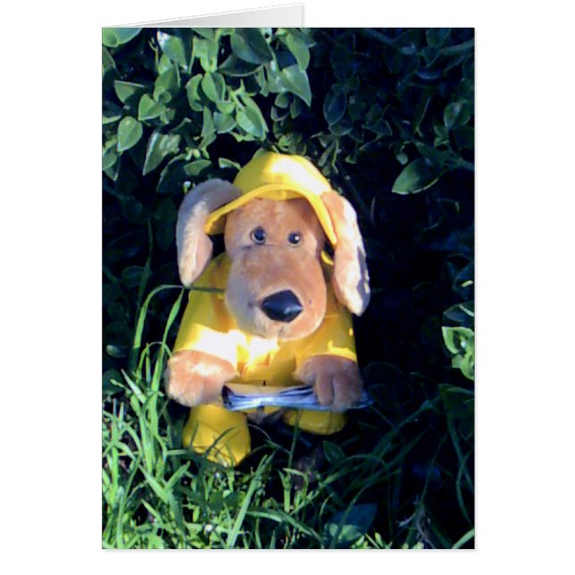 Sjung i regnet OBS kort (Framsidan)