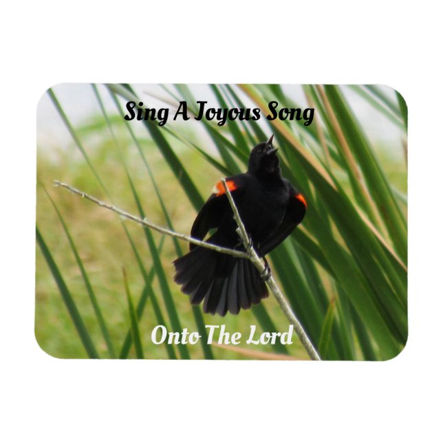 Sjunga A Joyous Sång - Backyard Bird Quote Magnet (Horisontell)