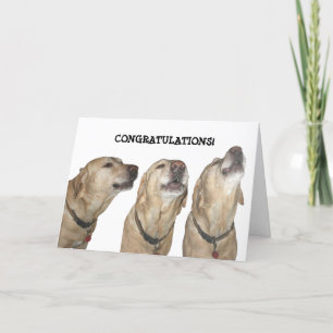 Sjunga dina Praises Kort