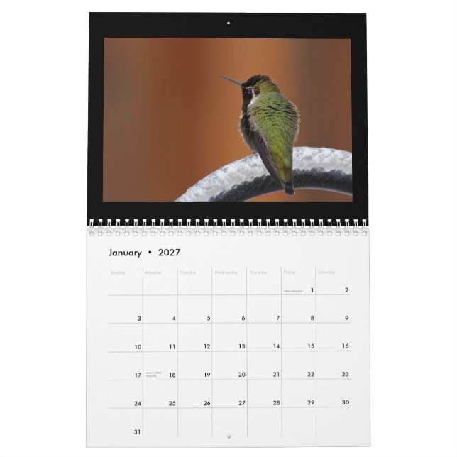 Sjunga en daglig ny sång kalender (Jan 2027)