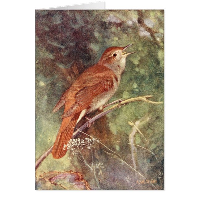 Sjunga för näktergal hälsningskort (Framsidan)