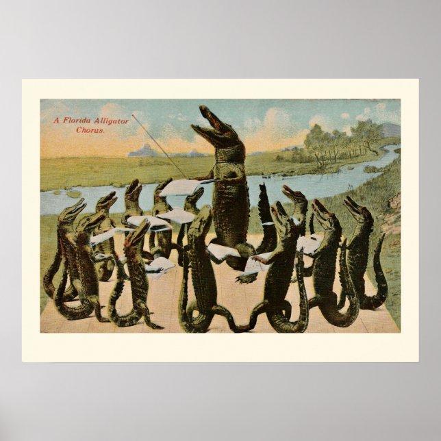Sjungande Alligatorer Print Poster (Framsidan)