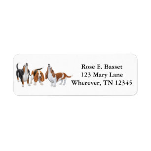 Sjungande Bassethundetikett Returadress Etikett