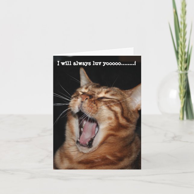 Sjungande Bengalisk katt "Jag kommer alltid älska  Helgkort (Framsida)