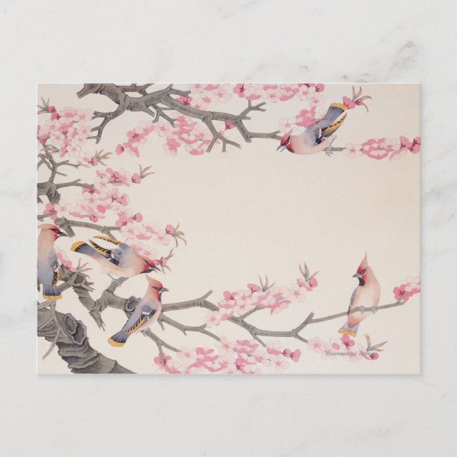 Sjungande fåglar om våren vykort (Framsida)