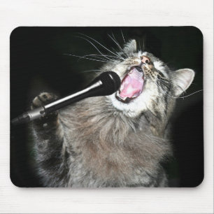 Sjungande katt musmatta