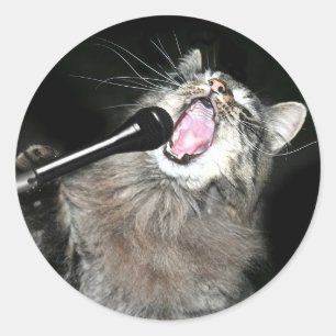 Sjungande katt runt klistermärke