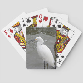Sjungande Snöhäger Casinokort
