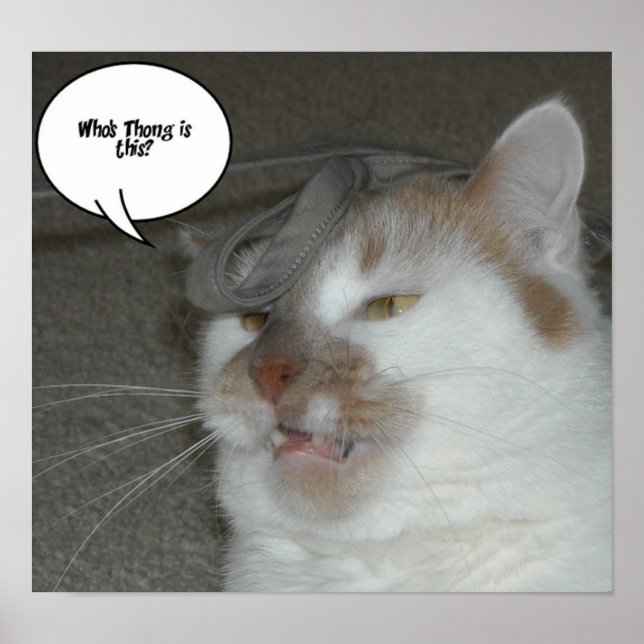 Sjungmöhippa Vem äger den här strassen Poster (Framsidan)