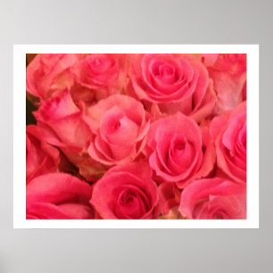 Sk poster med rosa rosor