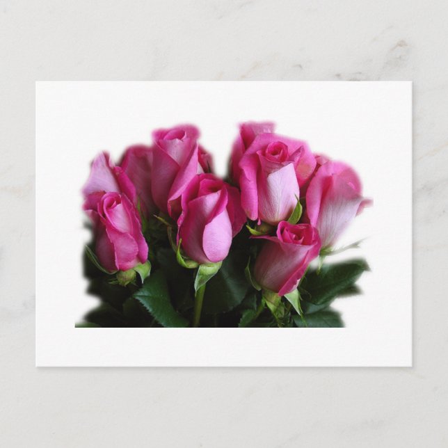 sk postkort med rosa rosbukett vykort (Framsida)