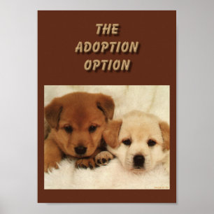 Ska adoption är ditt första alternativ?? poster