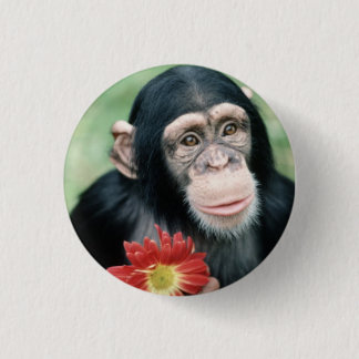 Ska dig att gifta sig mig? knapp