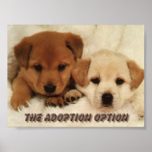 Ska dig väntan att adoptera ett djur? poster