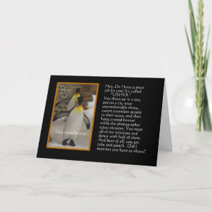 Ska dig var min rättstjänare? Pingvinhumorkort Inbjudan