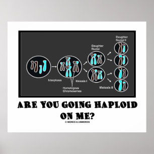 Ska du haploid på mig? (Meiosis Humor) Poster