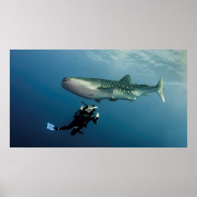 Ska jag gå och titta? poster (Framsidan)