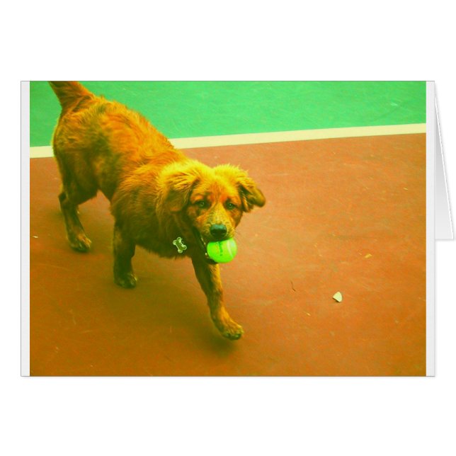 "Ska jag lek dig när som helst! ", Hälsningskort (Framsidan Horizontal)