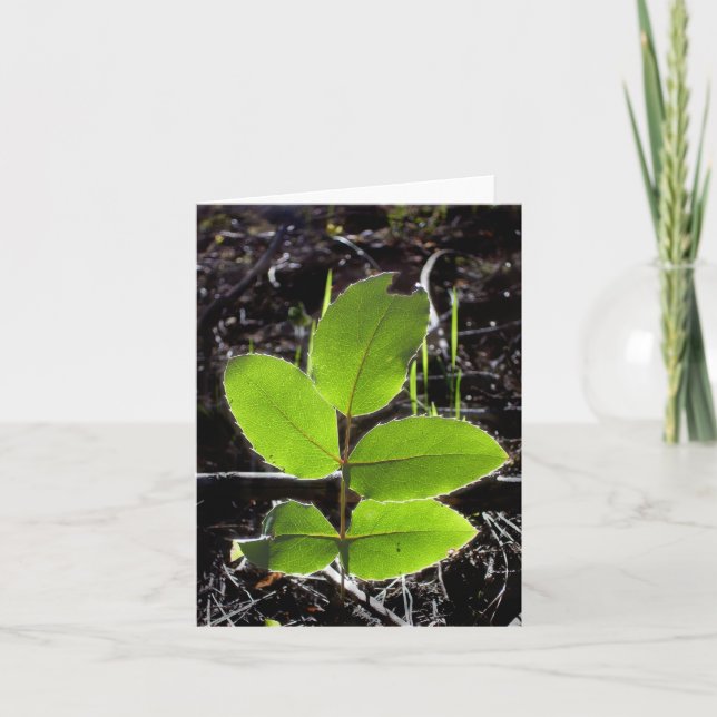 Ska saker är ljusare Notecard Kort (Framsida)