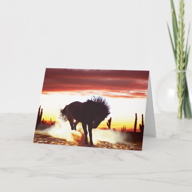 Ska vi dansa - kort för hästhälsning (Framsida)