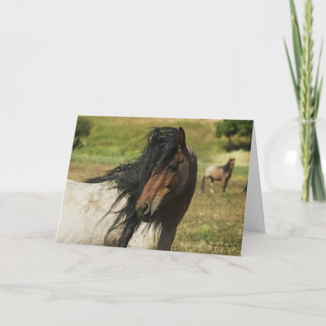 Skåda skönheten kort (Framsida)