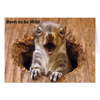 Skadad ekorre hälsningskort